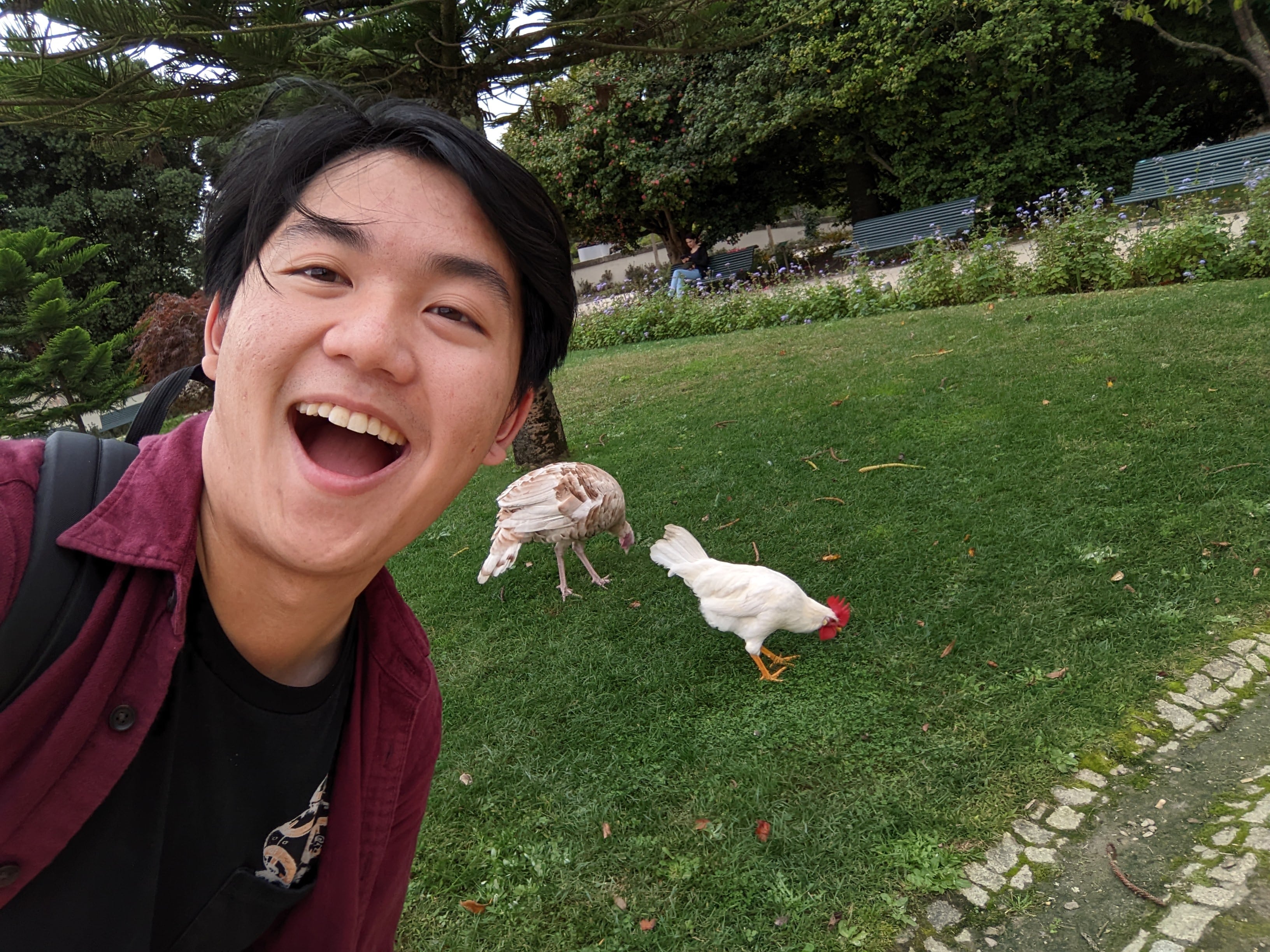 rooster-min.jpg